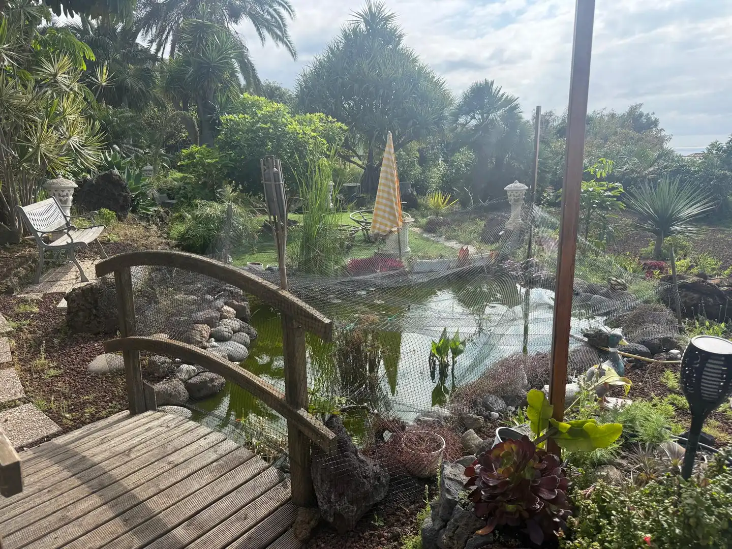 Jardín de Casa o chalet en venta en Santa Úrsula con Jardín privado, Terraza y Piscina