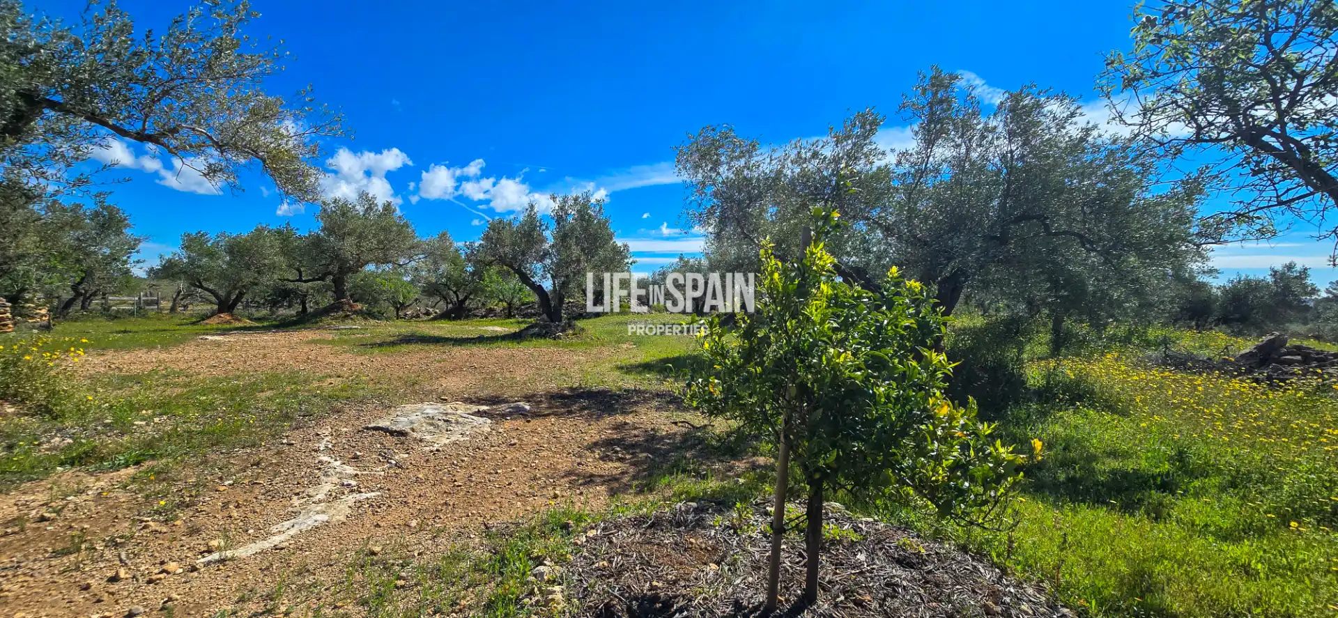 Country house with pool for sale in Camarles, imagen 92