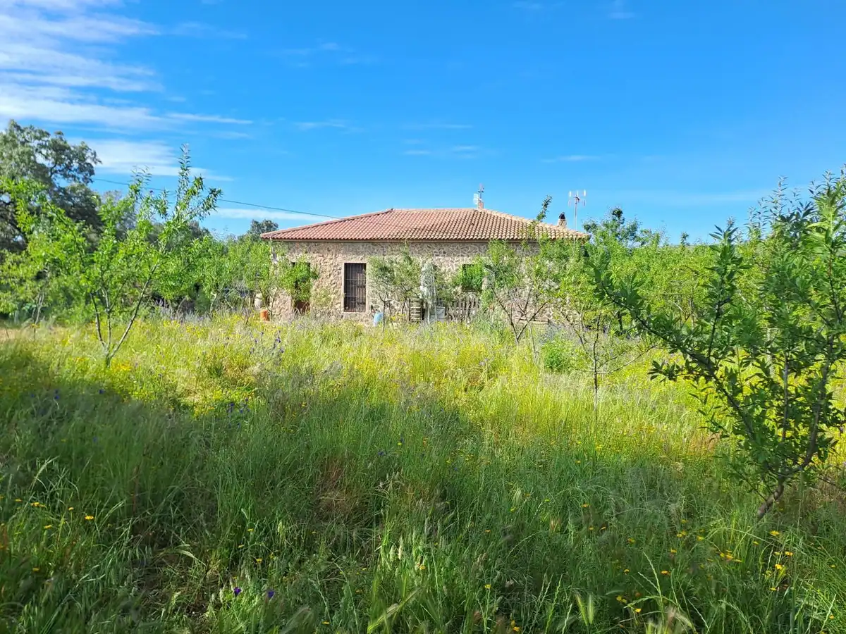 Local commercial à vendre à ANDALUCIA, imagen 8