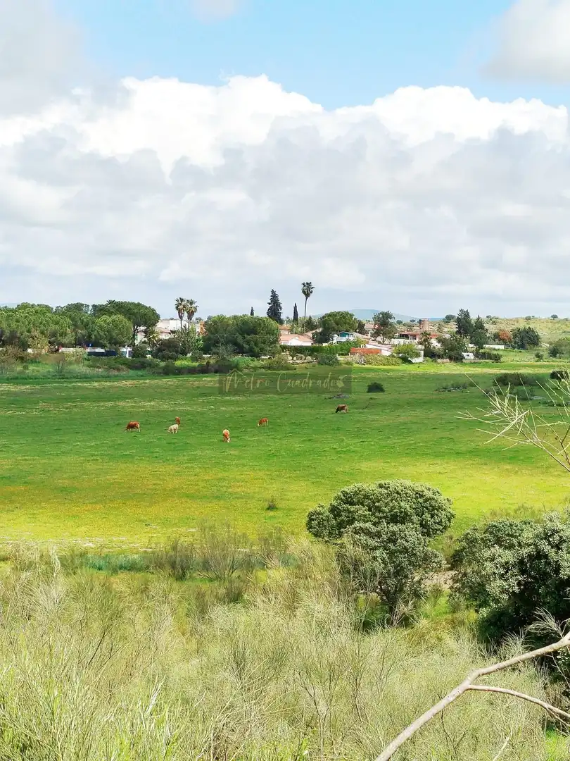 Terreni e lotti in vendita a Norte