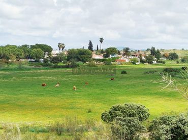 Terreni e lotti in vendita a Norte