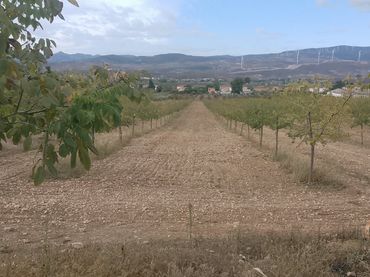 Terreno rustico in vendita a Dúrcal