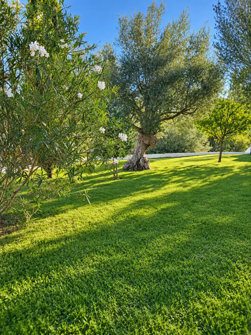 Country house with pool to rent in Port d'Andratx, imagen 60