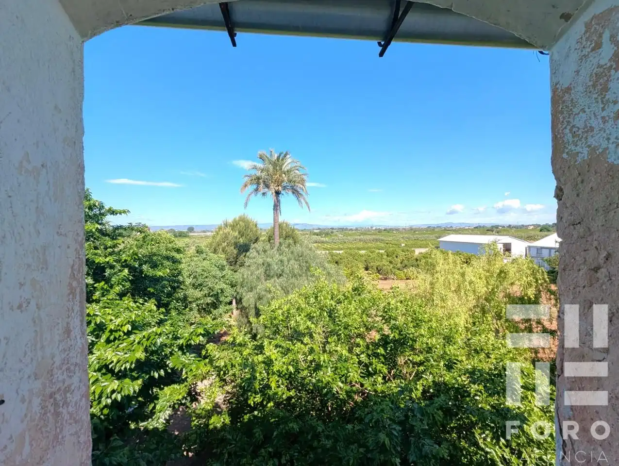 Jardín de Finca rústica en venta en Alzira con Jardín privado, Balcón y Internet