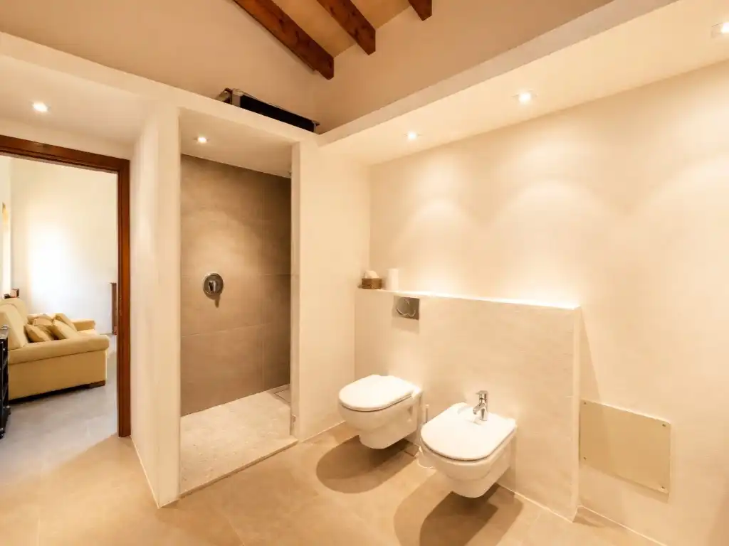 Baño de Casa o chalet en venta en Ariany con Jardín privado y Terraza