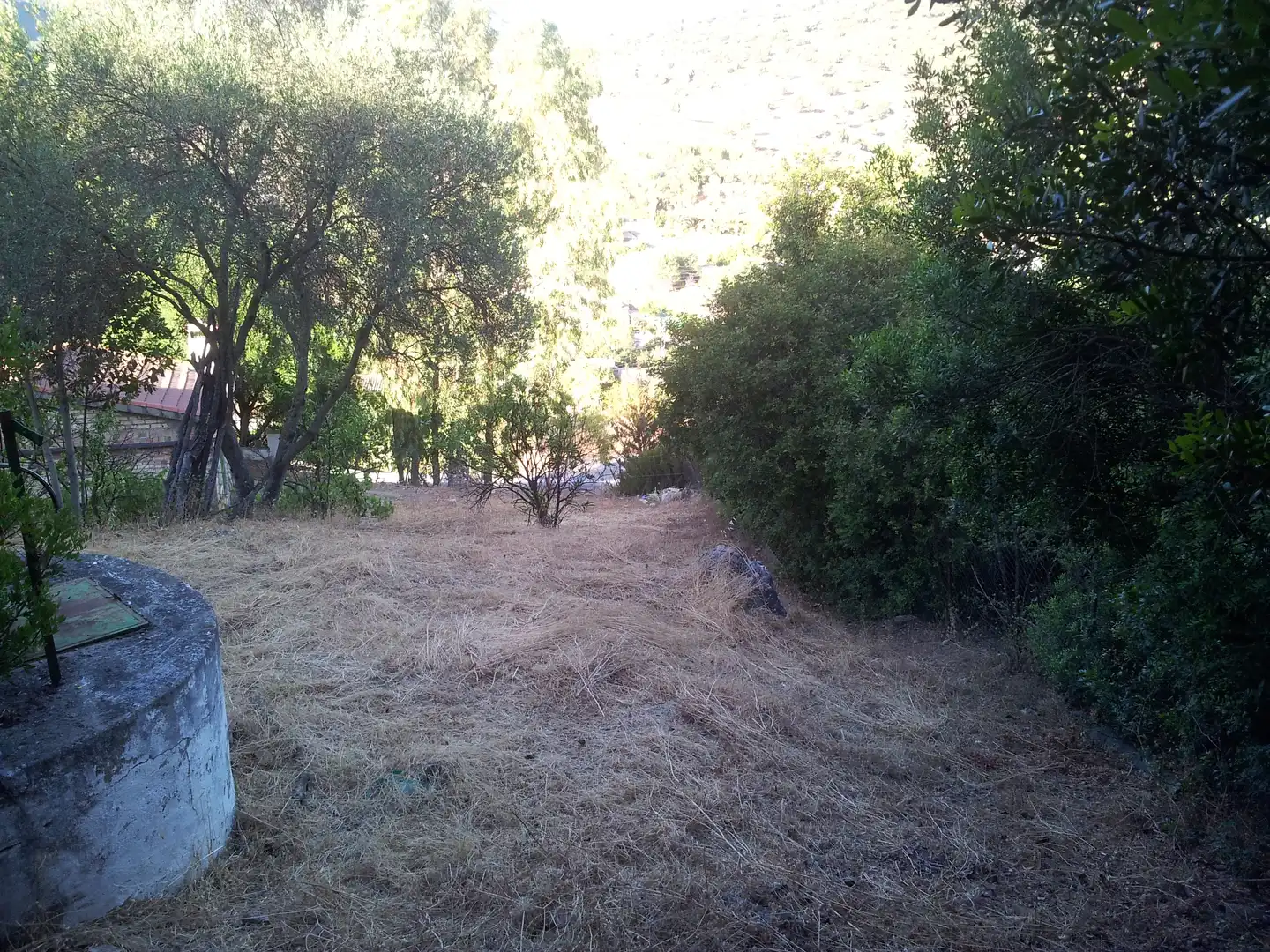 Finca rústica en venta en Ubrique