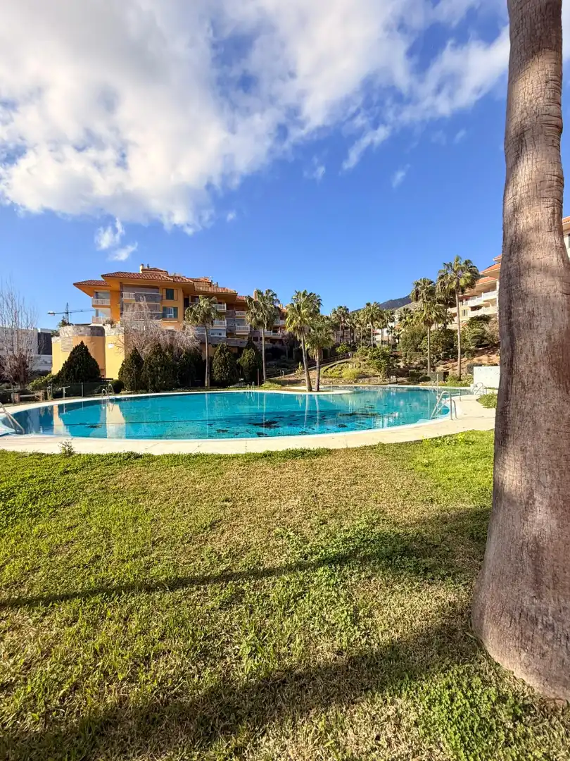 Habitatge amb piscina en venda a Avenida del Higuerón