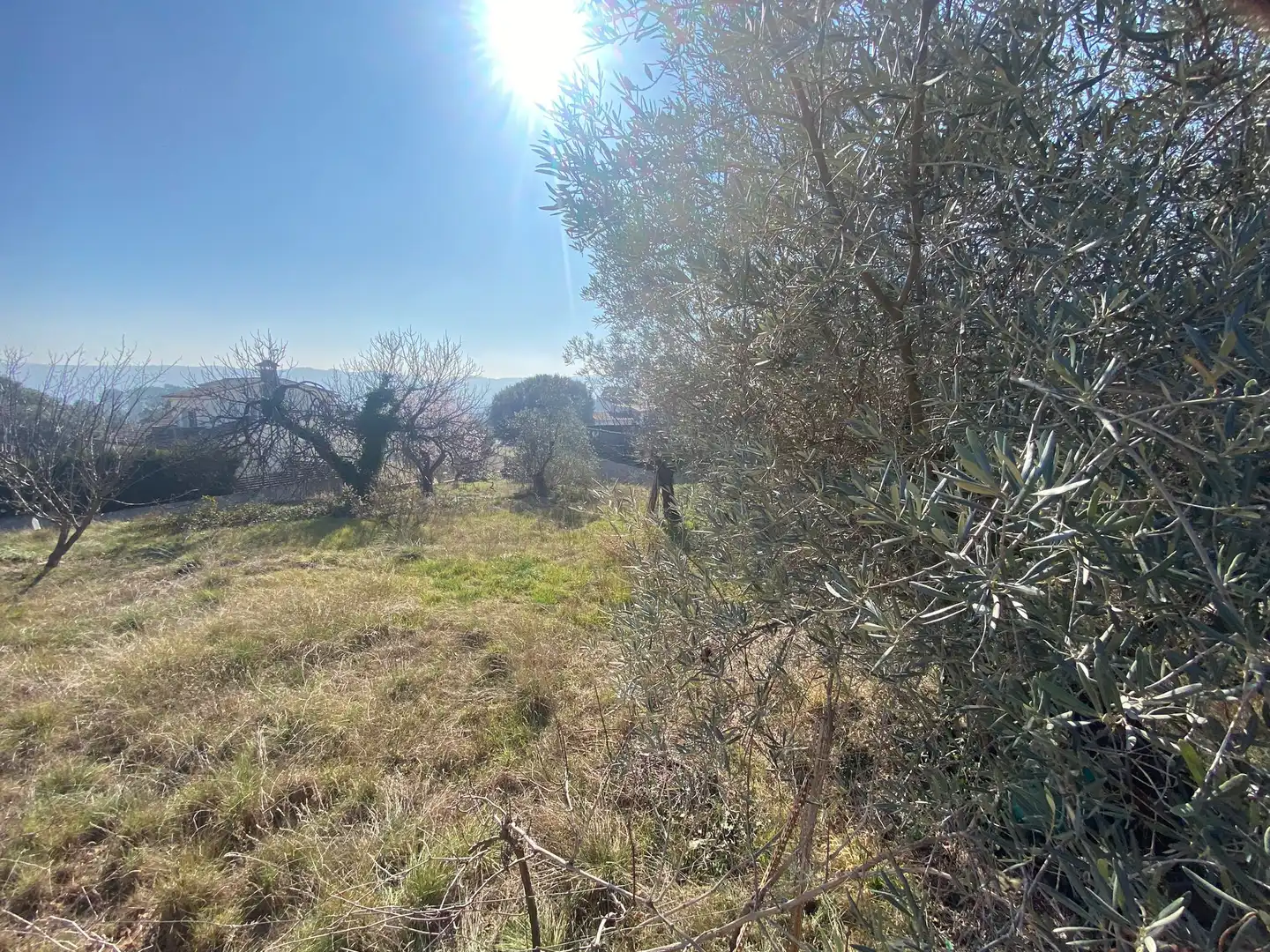 Terreny residencial en venda a Sant Antoni de Vilamajor, imagen 10