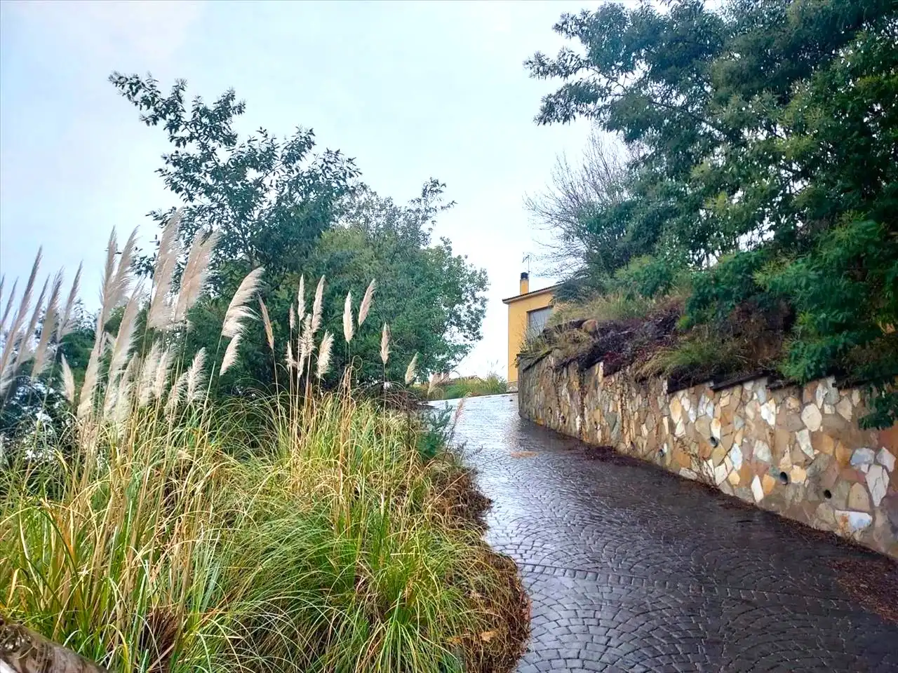 Vista exterior de Apartamento en venta en Caldes de Malavella con Jardín privado y Piscina