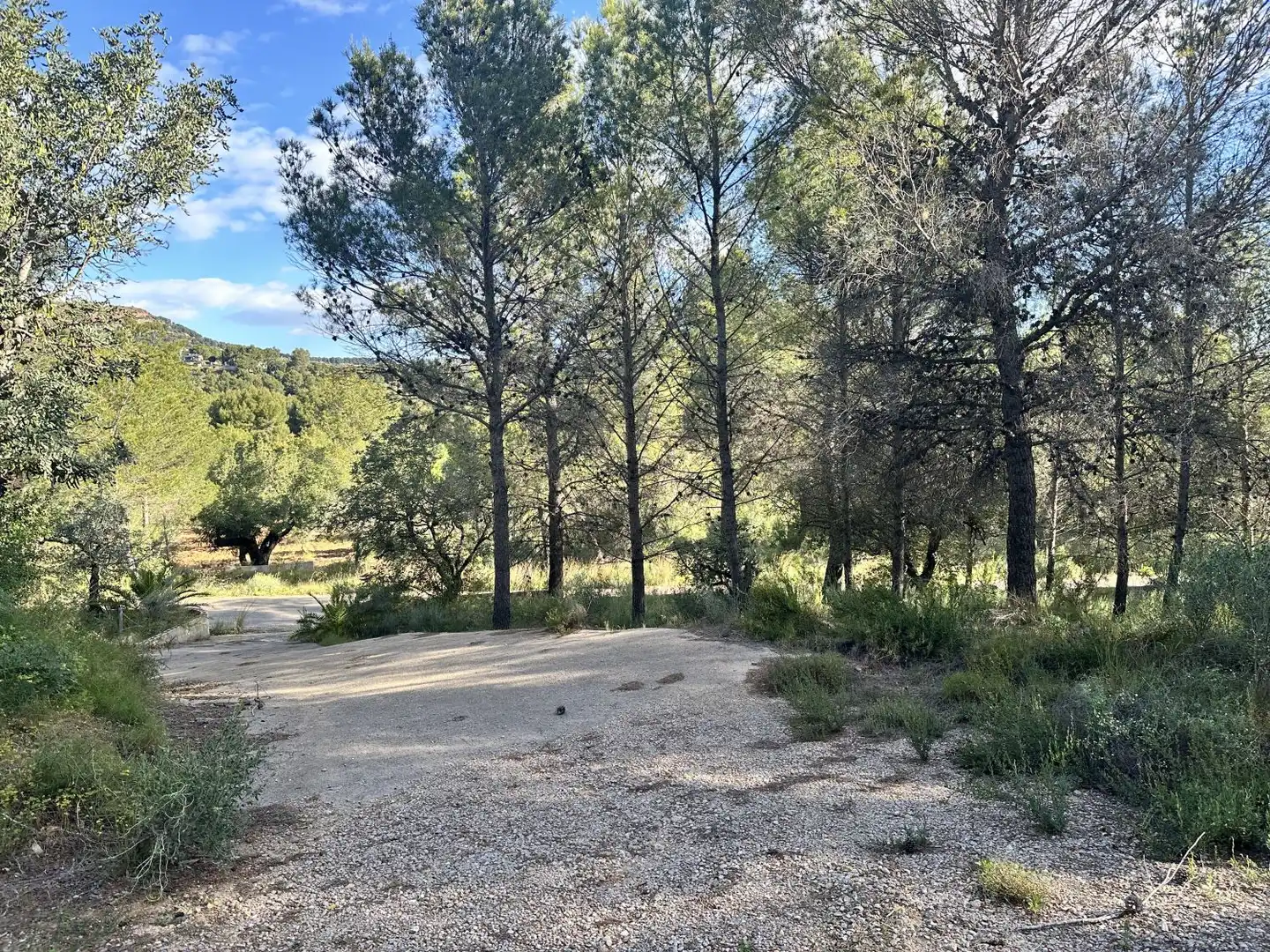 Terreny residencial en venda a Estivella, imagen 16