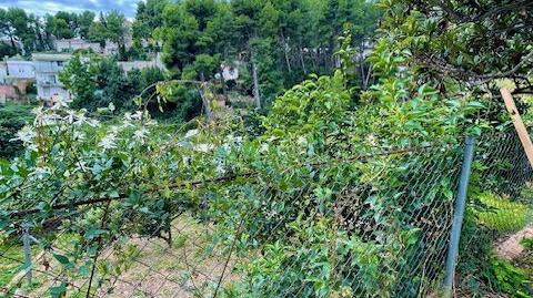 Foto 4 de Finca rústica en venda a Torrelles de Foix, Barcelona