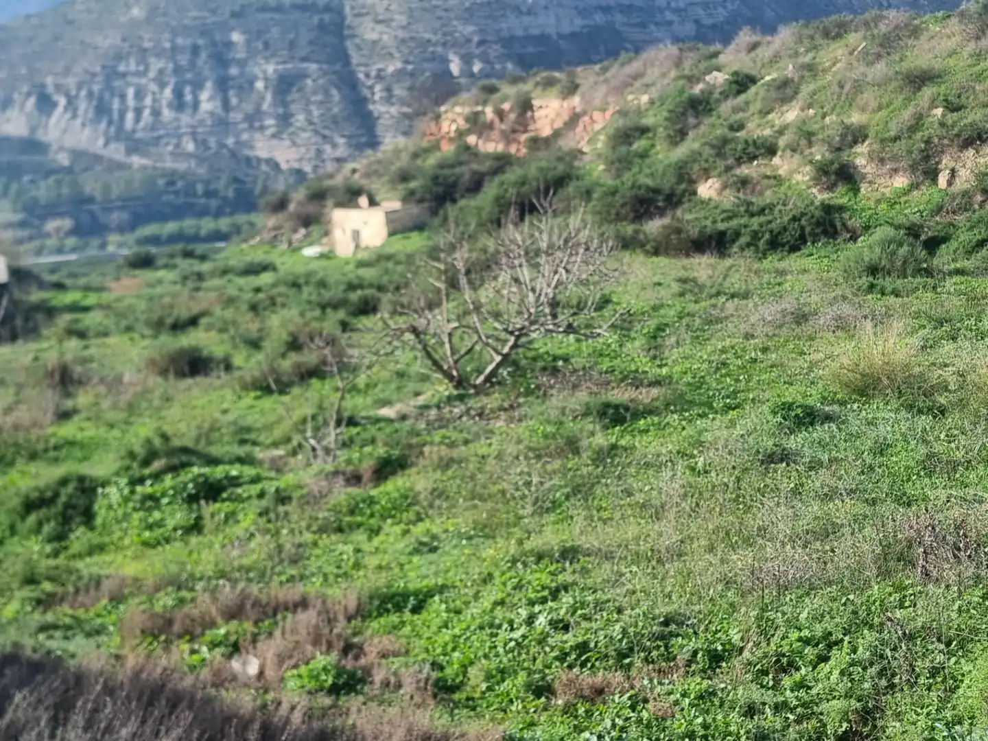 Rural land for sale in Terque, imagen 27