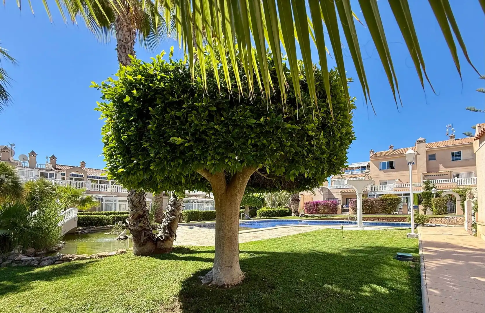 Penthouse mit Terrasse zum Verkauf in Orihuela Costa, imagen 26
