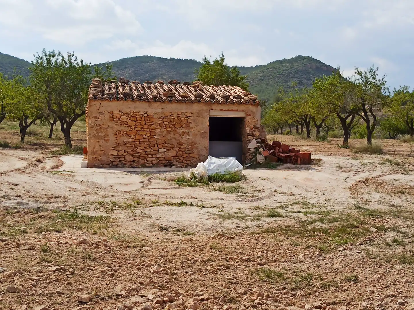 Terrain rustique à vendre à Villar del Arzobispo, imagen 7