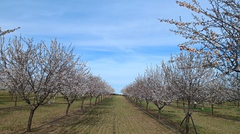 Photo 3 of Land for sale in Camino de Valdehuecas, 13, Rielves, Toledo