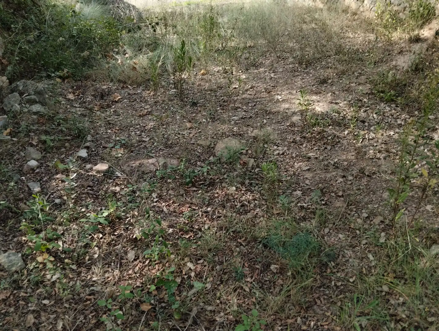 Residential zum Verkauf in Castellnou de Bages