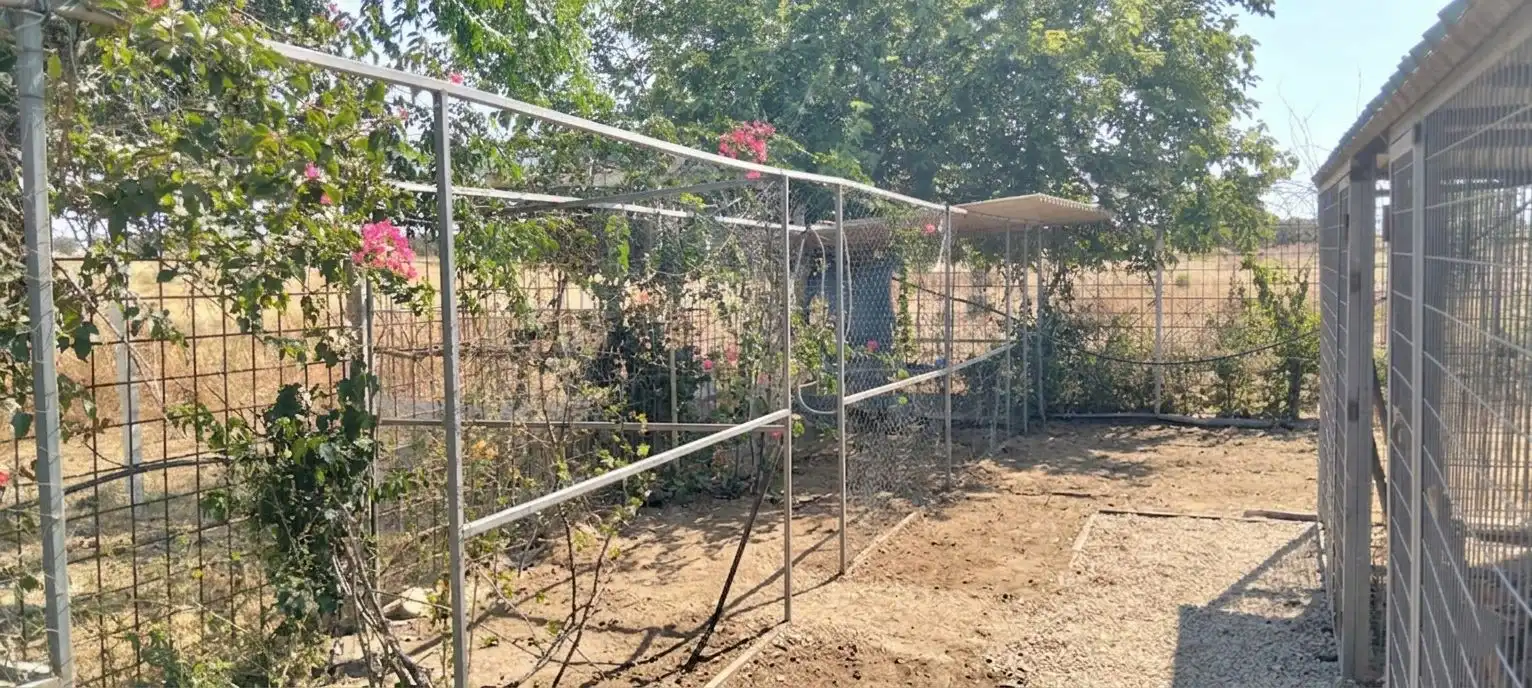 Terreni e lotti in vendita a La Hacienda - Nueva Andalucía, imagen 12