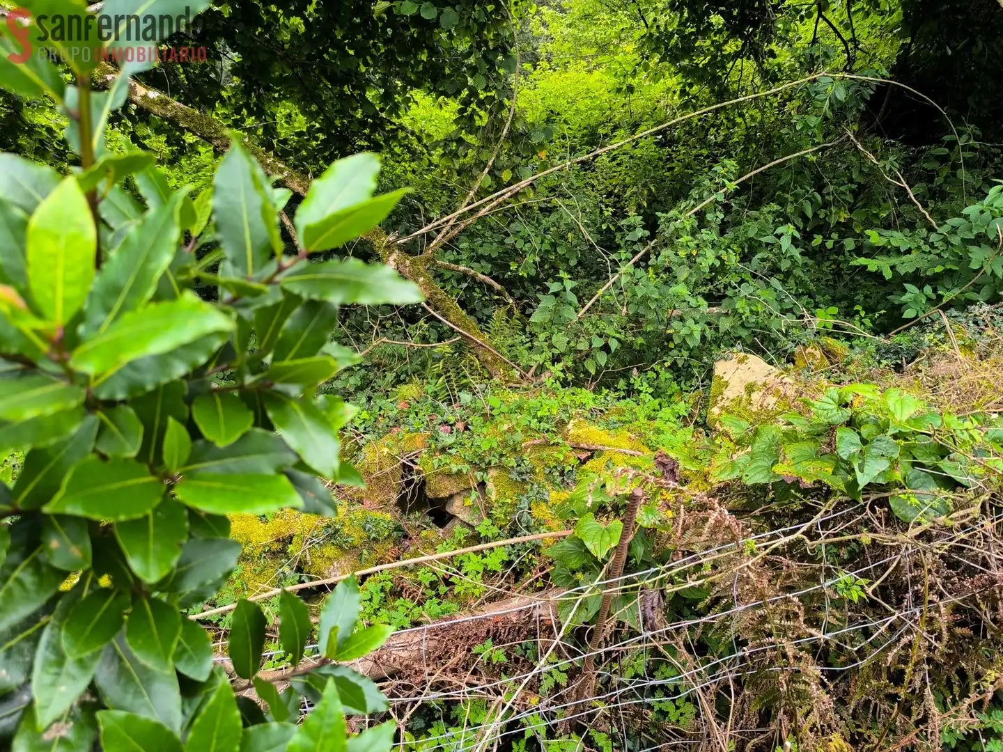 Rural land for sale in Polígono VILLABAÑEZ-CARMEN, imagen 17