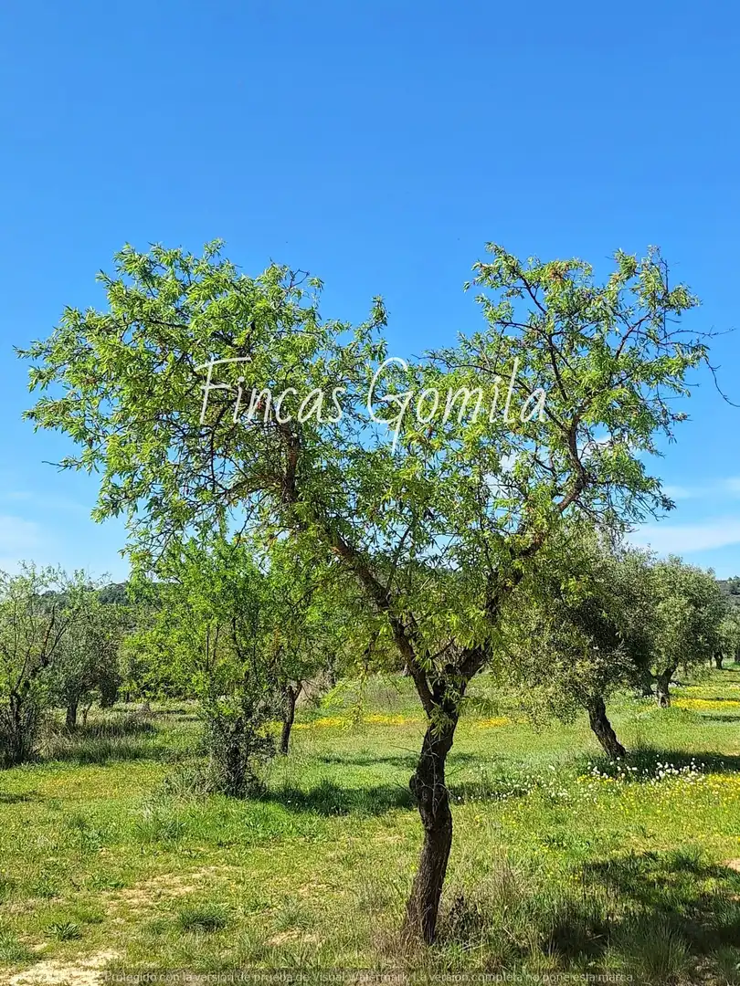 Rural land for sale in 8, imagen 21
