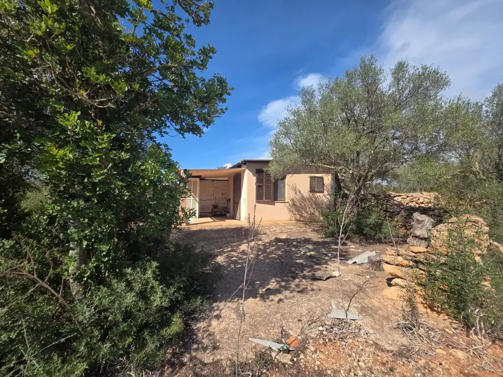 Casa rústica en venda a Llucmajor pueblo, imagen 10