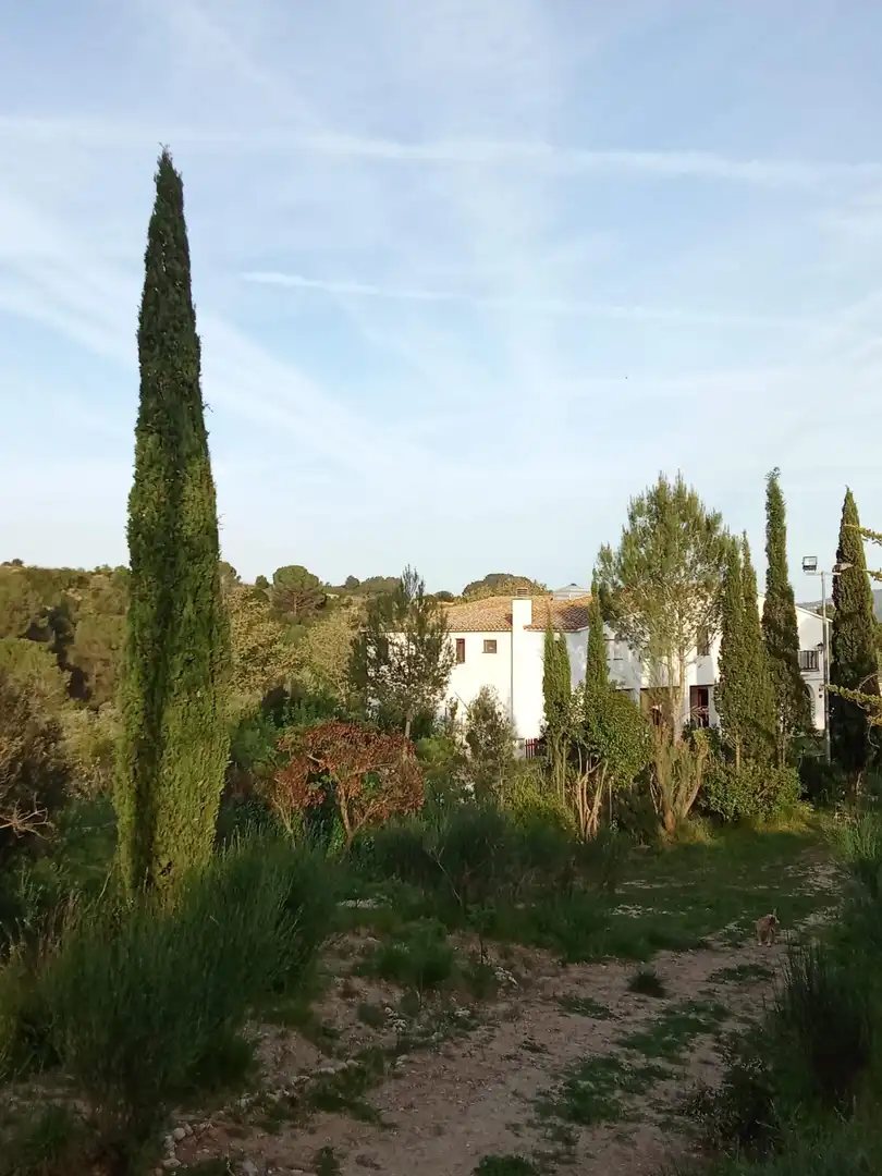 Jardí de Casa o xalet en venda en Sant Llorenç d'Hortons amb Calefacció, Jardí privat i Terrassa