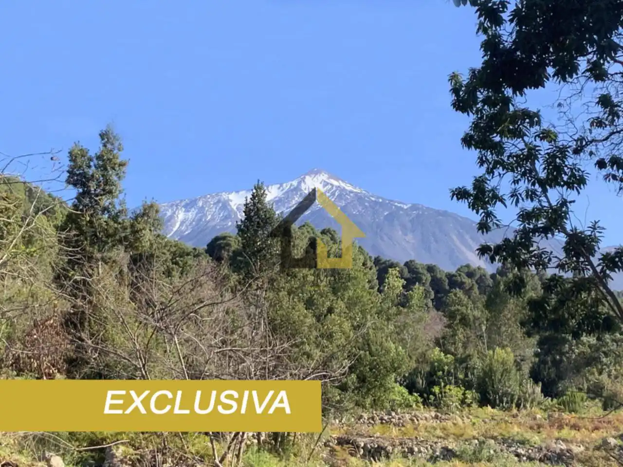 Terreno en venta en Icod de los Vinos
