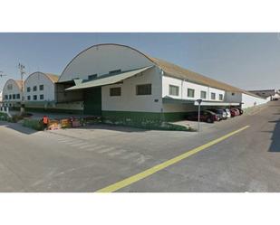 Exterior view of Industrial buildings for sale in Molina de Segura