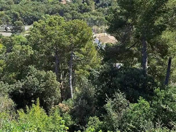 Terreno residencial en venta en Cedres 1027, imagen 5