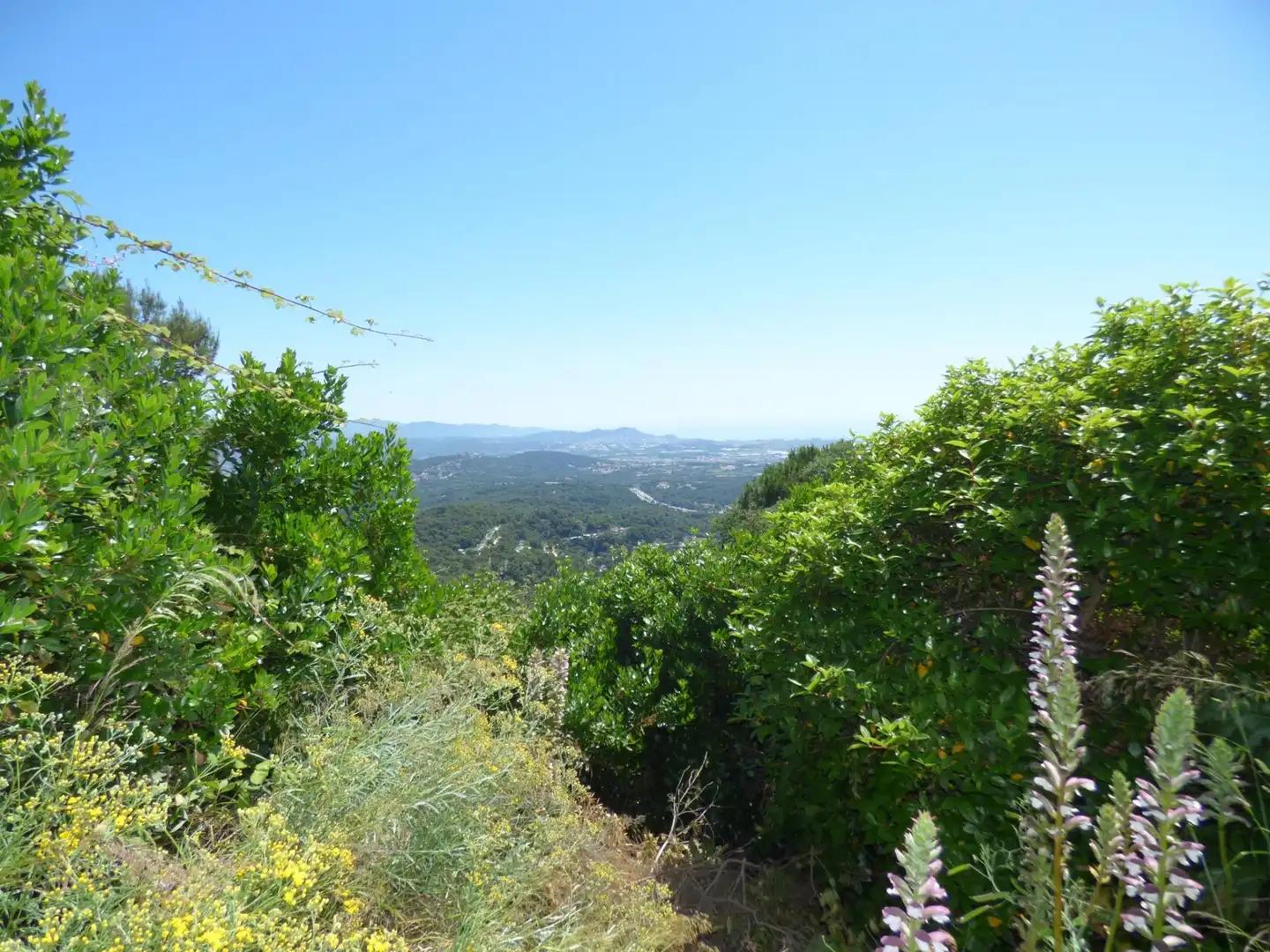 Residential land for sale in Palafolls, imagen 3