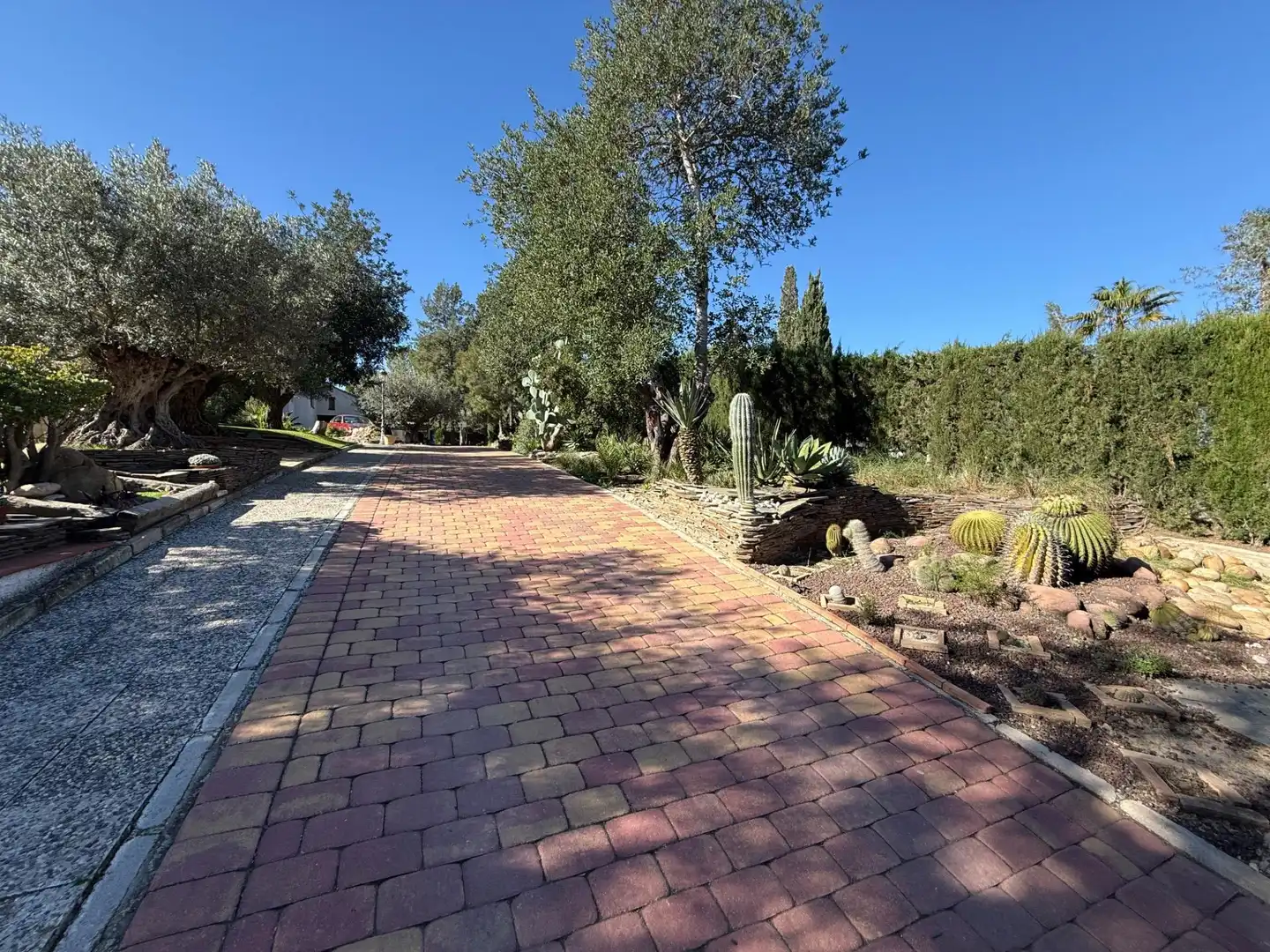 Chalet con piscina en venta en Calle MIZAR (ALCAYNA), imagen 38