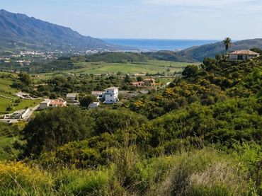 Terreno rustico in vendita a La Cala Golf - Lagar Martell