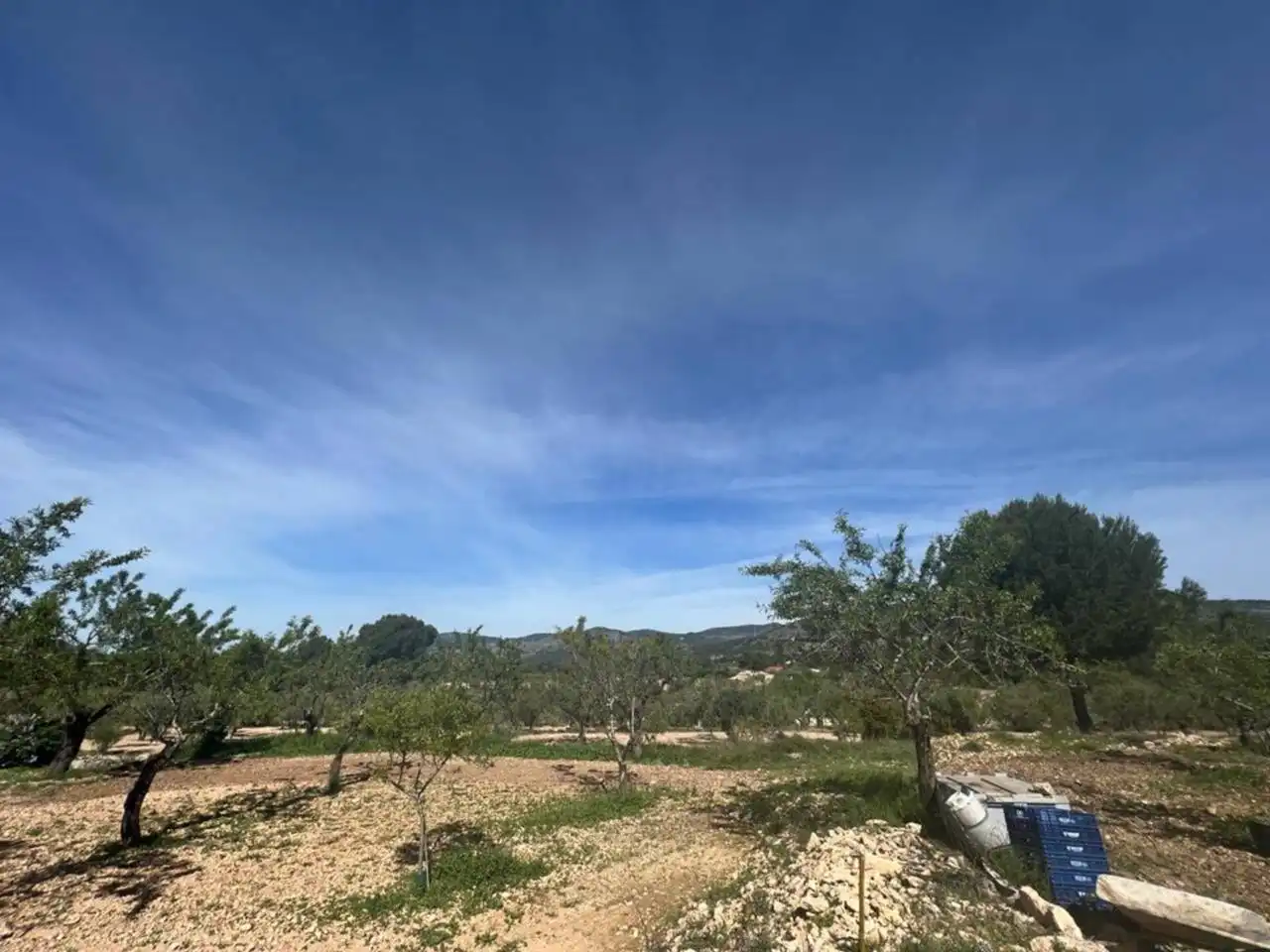 Chalet con jardín en venta en Calle Poligono, imagen 63