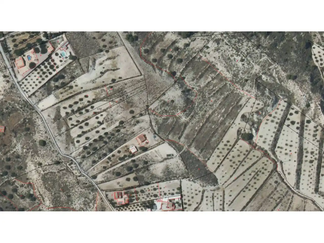 Lands and plots for sale in Ojós, imagen 16