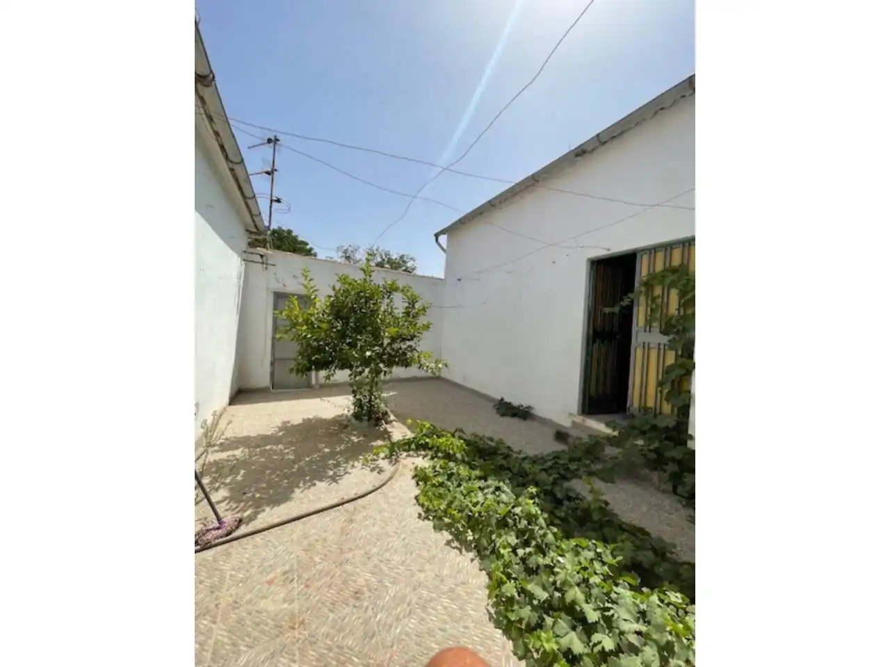 Vista exterior de Casa o chalet en venta en Lucena con Terraza y Piscina