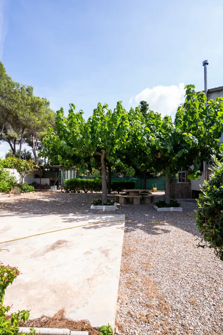 Jardí de Casa o xalet en venda en Vallmoll amb Calefacció, Jardí privat i Terrassa