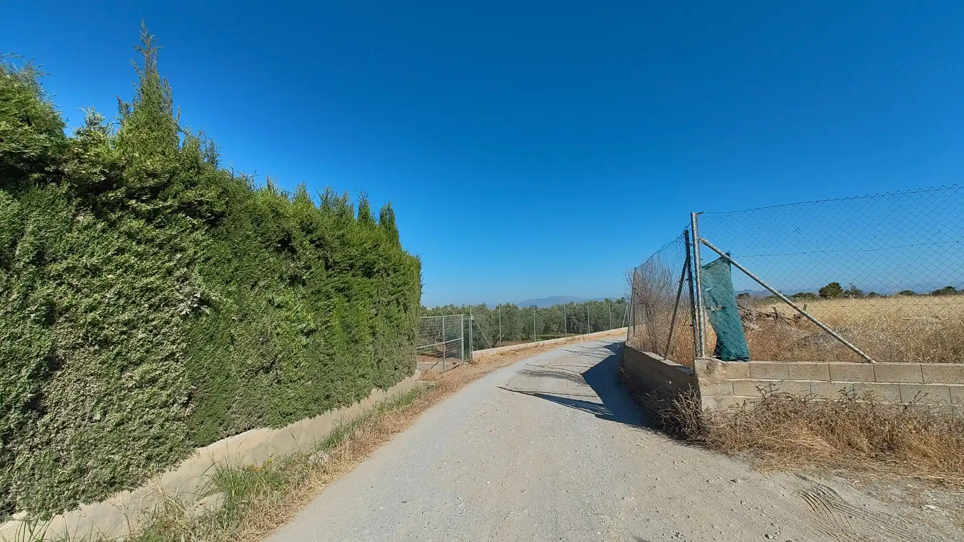 Terreno rustico in vendita a Aljancira, imagen 13
