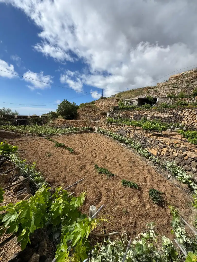 Casa rústica amb terrassa en venda a Avenida de los Asientos 6, imagen 14