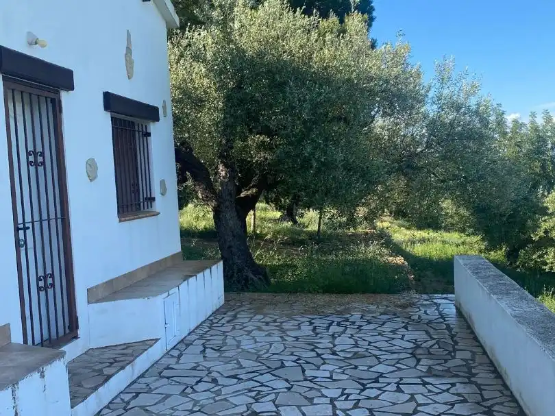 Maison rustique avec jardin à vendre à T-331 3, imagen 5