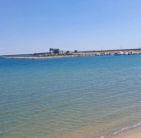 Local comercial en Alquiler en El Acequión