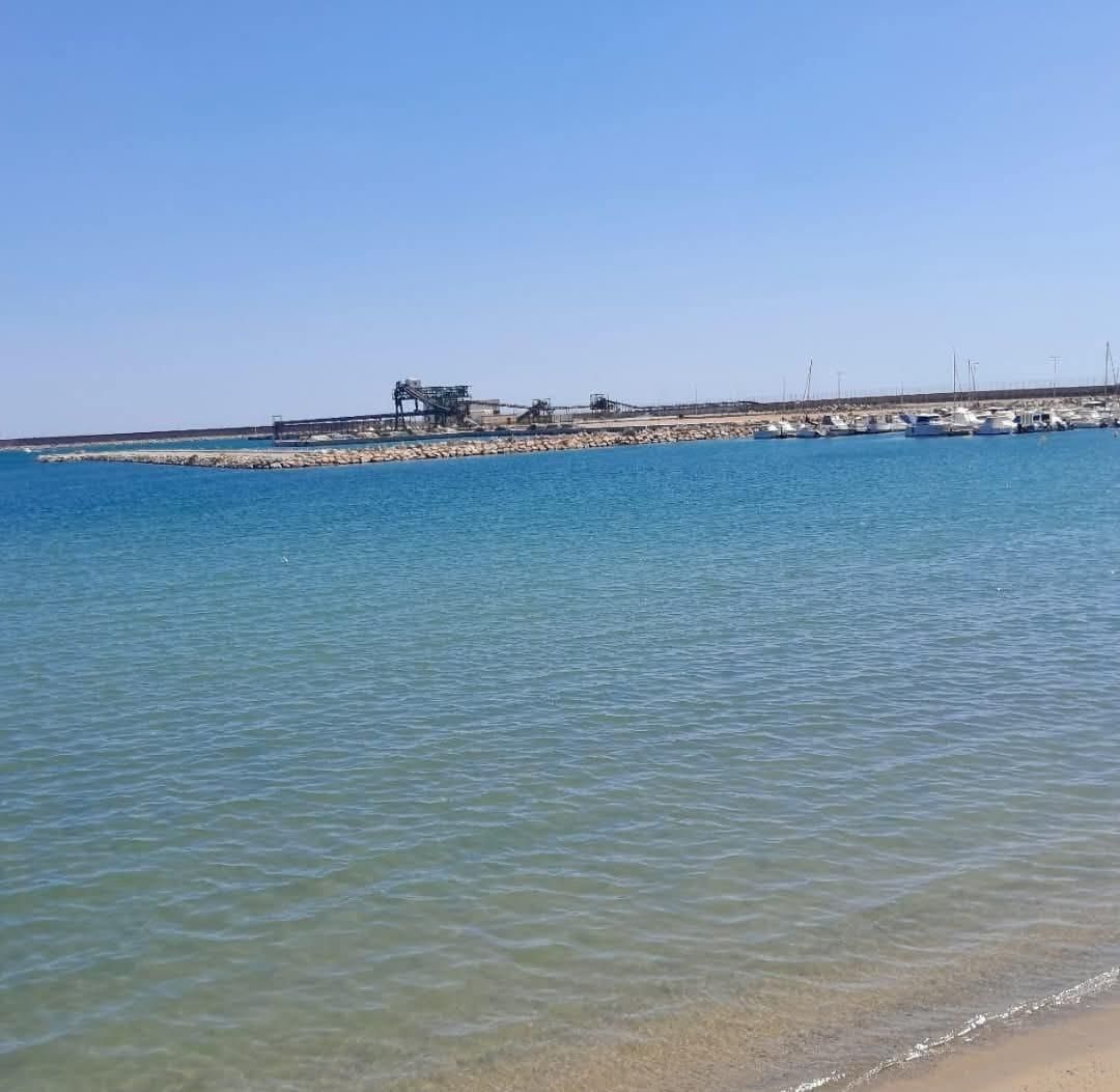 Local de lloguer en Torrevieja