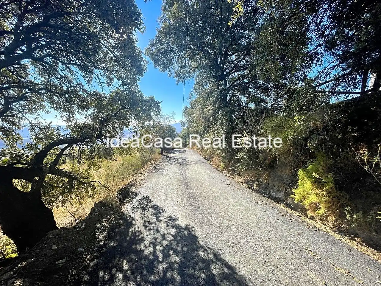 Exterior view of Land for sale in Casarabonela