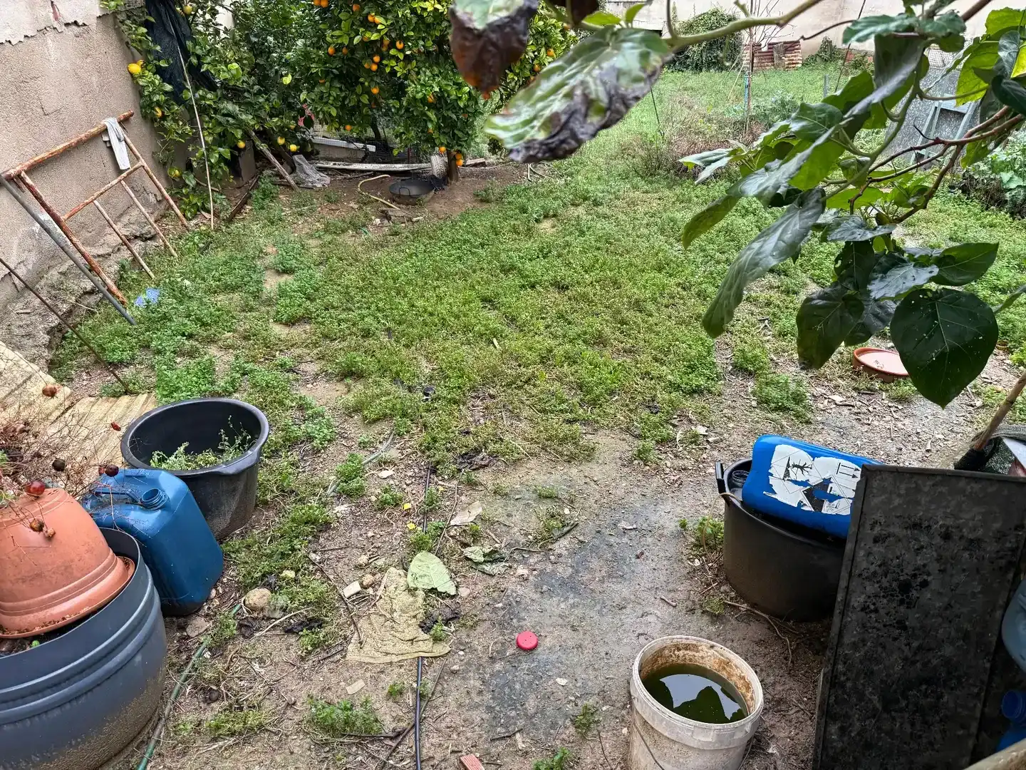 Terrenys i solars en venda a La Serreta