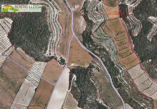 Terreno en Venta en Maldà