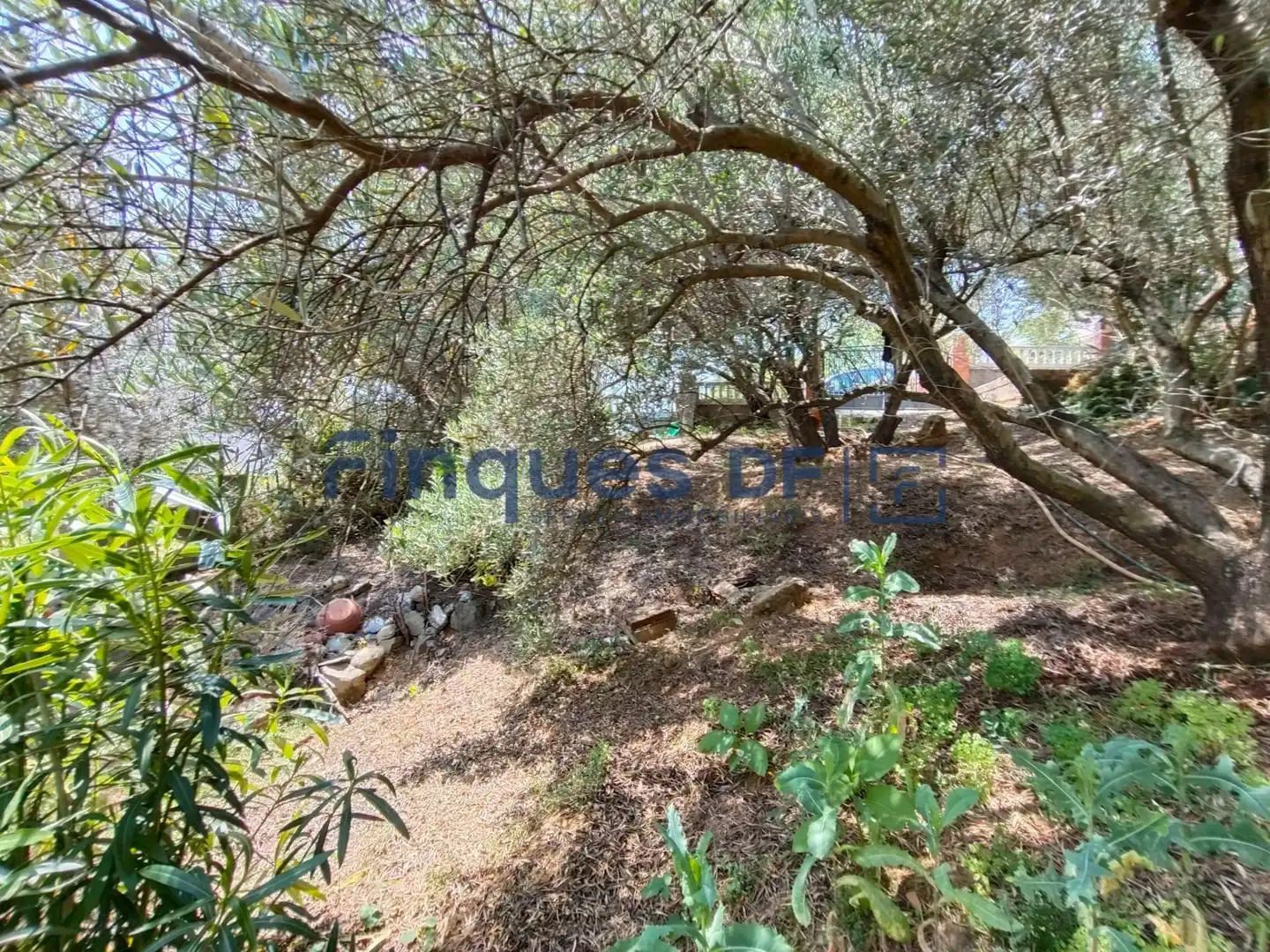 Terrenos y solares en venta en Riudarenes, imagen 3