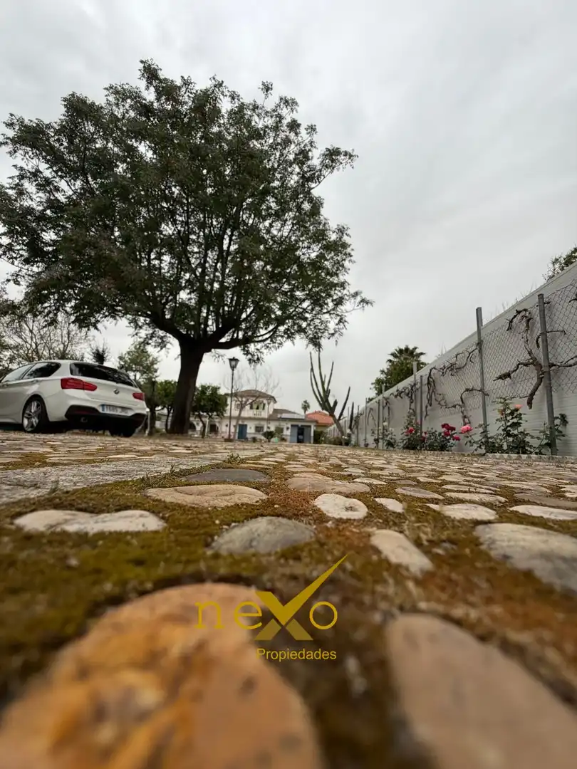 Vista exterior de Casa o chalet en venta en Carmona con Aire acondicionado, Jardín privado y Terraza