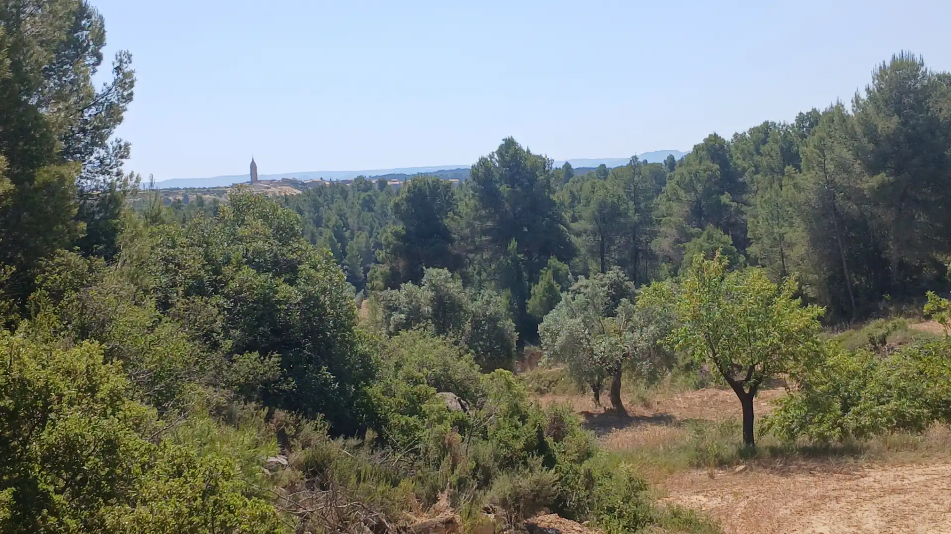 Terreno rustico in vendita a N/A, imagen 11
