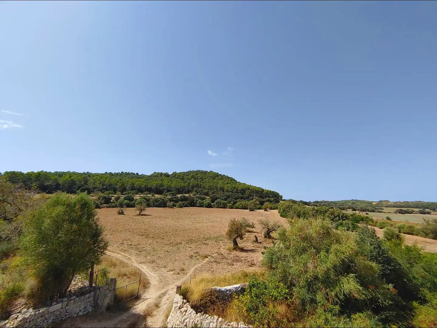 Country house with pool for sale in Algaida, imagen 45