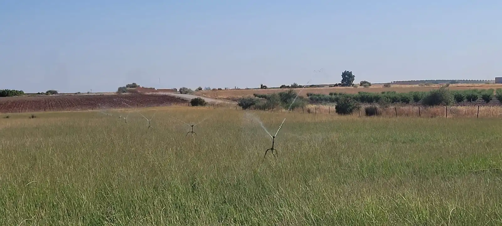 Terreni e lotti in vendita a Villanueva de la Serena
