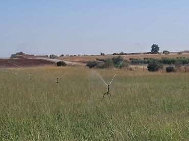 Terreno rustico in vendita a Villanueva de la Serena