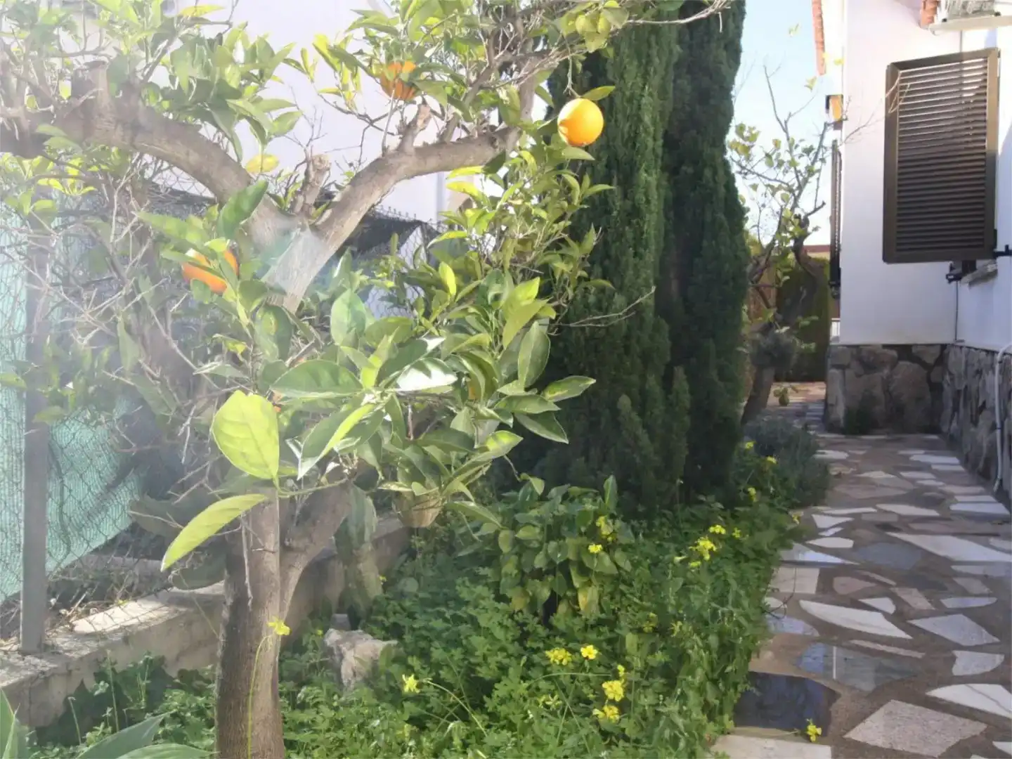 Jardí de Casa o xalet en venda en Els Poblets amb Aire condicionat i Piscina